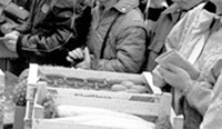 Nach westdeutschen Waren anstehende Menschen mit ihren Porte­mon­naies in den Händen, in der Bildmitte eine fast leere Kiste mit Zitrusfrüchten
