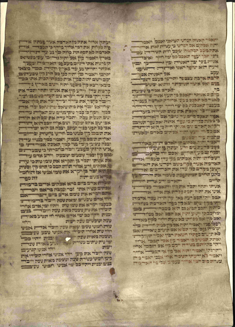 Fragment einer Tora, Pergament mit Blindlinien eingerichtet, 49x35 cm, Quadratschrift mit Tagin, zwei Kolumnen zu je 42 Zeilen (LASA, E 224, Nr. II/3423)